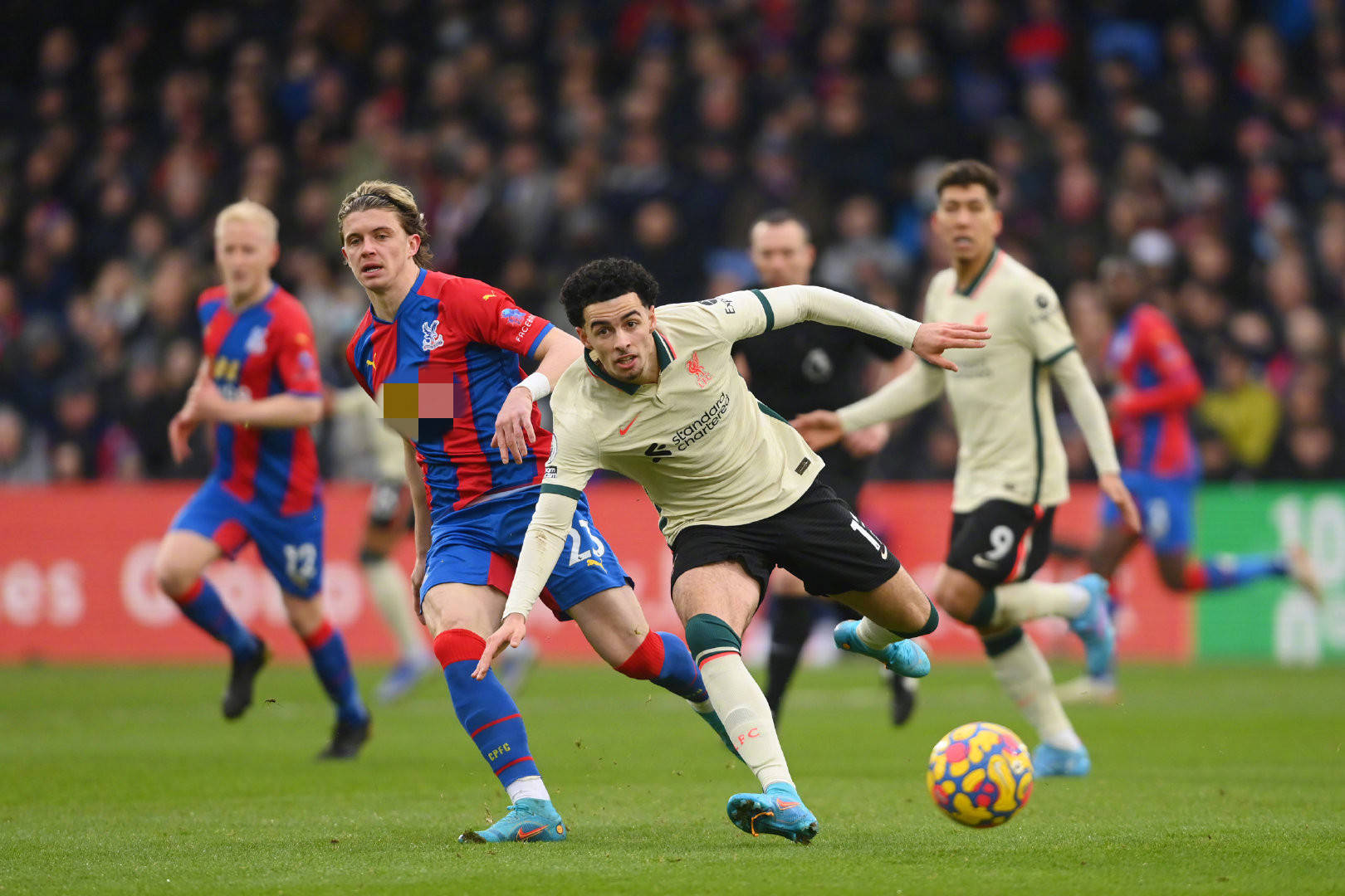 現不僅令教 現不僅令教