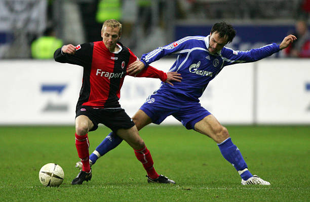 的相似之处 的相似之处